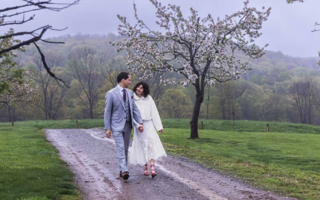 Gentle Spring | Wedding Gallery