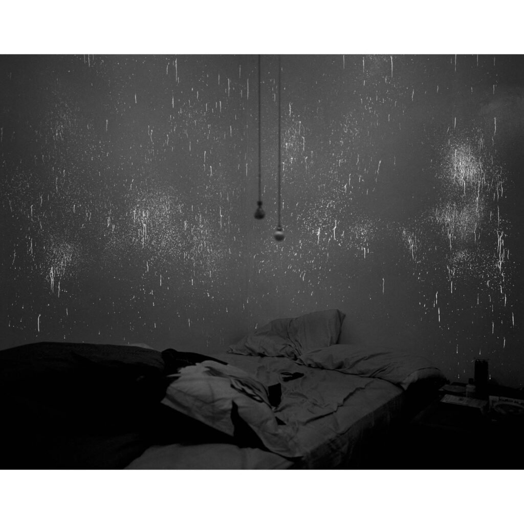 Evidence No. 2, 2009